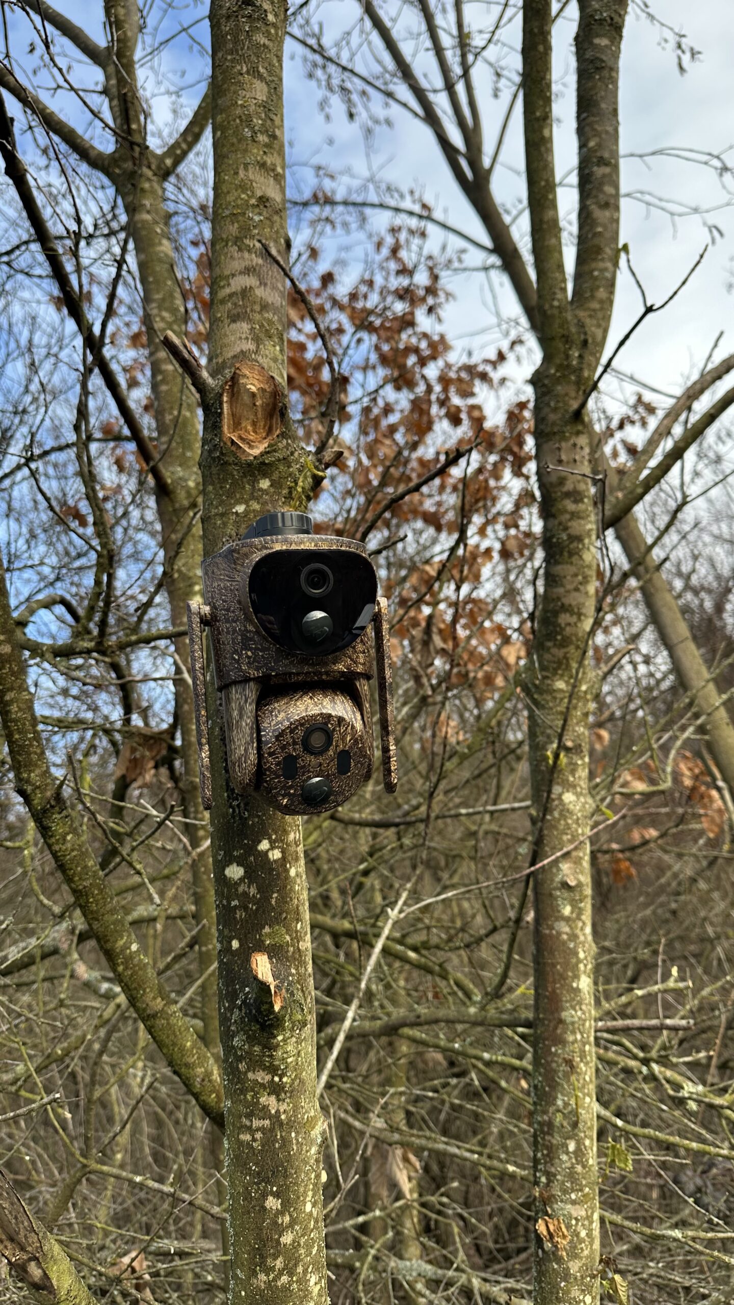 ForestCamLive F7Gps - imagine 5